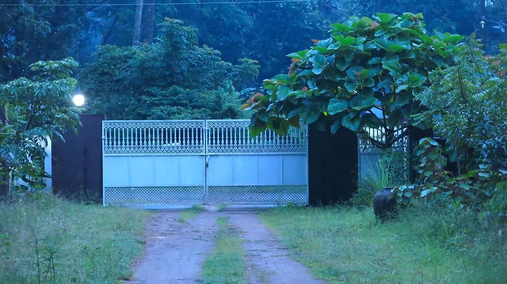 Clayfingers Art Cottage Thrissur