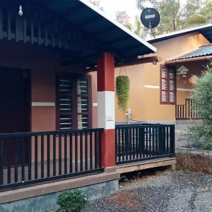 Wayanad Cocos Tariyod