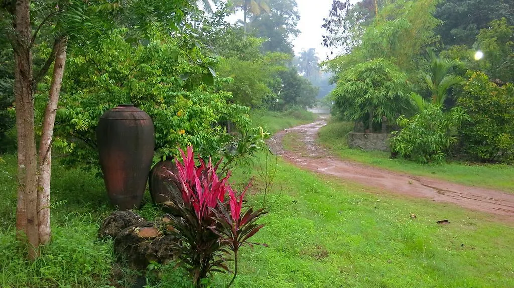 Clayfingers Art Cottage Thrissur India