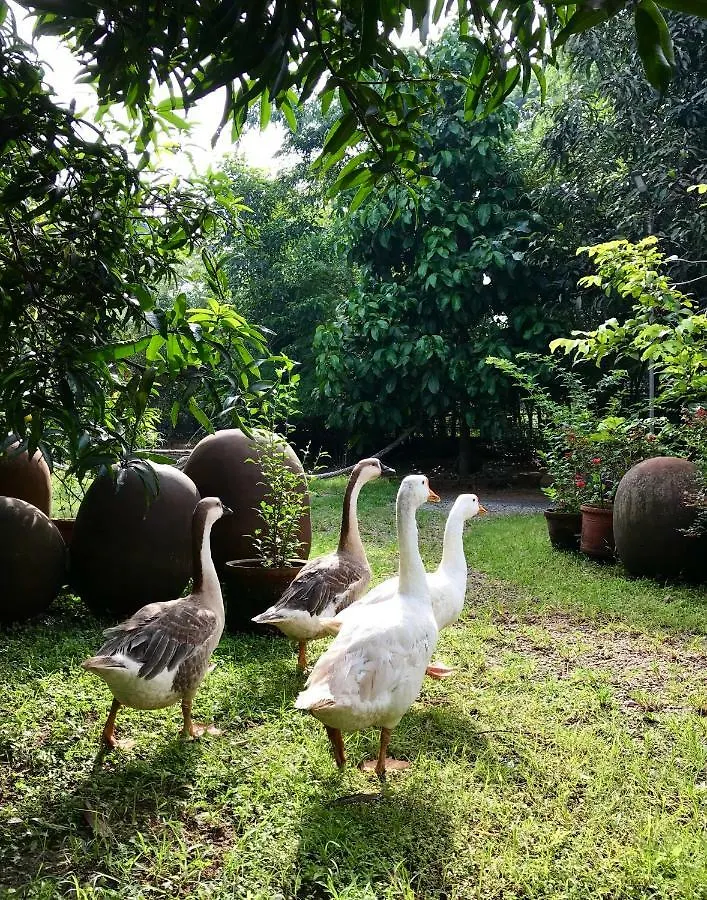 Clayfingers Art Cottage Thrissur 0*,  India